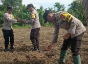 Polsek Sukajadi Tanam Jagung Pipil di Pekanbaru, Dukung Program Swasembada Pangan Nasional