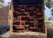Polda Riau Bongkar Dugaan Illegal Logging di Cagar Biosfer Giam Siak Kecil, Sopir Truk Diamankan dan 10 Kubik Kayu Disita