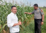 Polres Rokan Hulu Siapkan 6 Hektare Lahan Baru untuk Program Jagung Hibrida