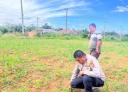 Polres Rokan Hulu Cek Tanaman Jagung di Lahan 6 Hektare.
