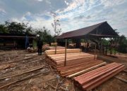 Polda Riau Bongkar Sawmill Ilegal di Kampar, Satu Orang Jadi Tersangka dan Ratusan Batang Kayu Disita
