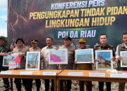 BKSDA Apresias Polda Riau Ungkap Perusakan Mangrove di Rohil