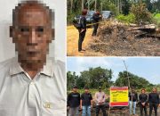 Bakar Ranting untuk Usir Nyamuk, Lahan 1,5 Hektare di Inhu Malah Terbakar, Pensiunan Diamankan Polisi