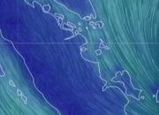 313 Hotspot Terdeteksi di Riau, Pasukan Gabungan Bergerak Lakukan Verifikasi dan Pemadaman