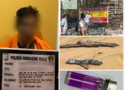 Bakar Tumpukan Semak, Api Meluas hingga 1,8 Hektare, Warga Inhu Diamankan Polisi
