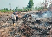 Pagi hingga Petang, 76 Personel Gabungan Padamkan Karhutla di Kerumutan