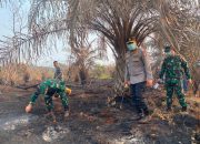 149 Hotspot Muncul, Kapolda-Pangdam Cek Karhutla Siak, 4 Wilayah Riau Jadi Atensi