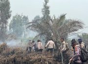 Karhutla Dayun Siak Belum Padam, Water Bombing dan 4 Alat Berat Dikerahkan