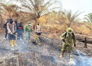 Tak Pulang Sebelum Api Padam, Kapolres-Dandim Bermalam di Tengah Karhutla 20 Hektare Inhu.