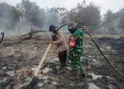 Enam Titik Karhutla Siak Diserbu Tim Gabungan, Api Padam Bukan Berarti Aman