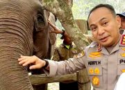 Pamit dari Riau, Komjen Herry Heryawan Titip Pesan Lestarikan Gajah dan Alam